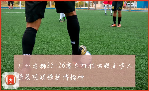 广州龙狮25-26赛季征程回顾止步八强展现顽强拼搏精神